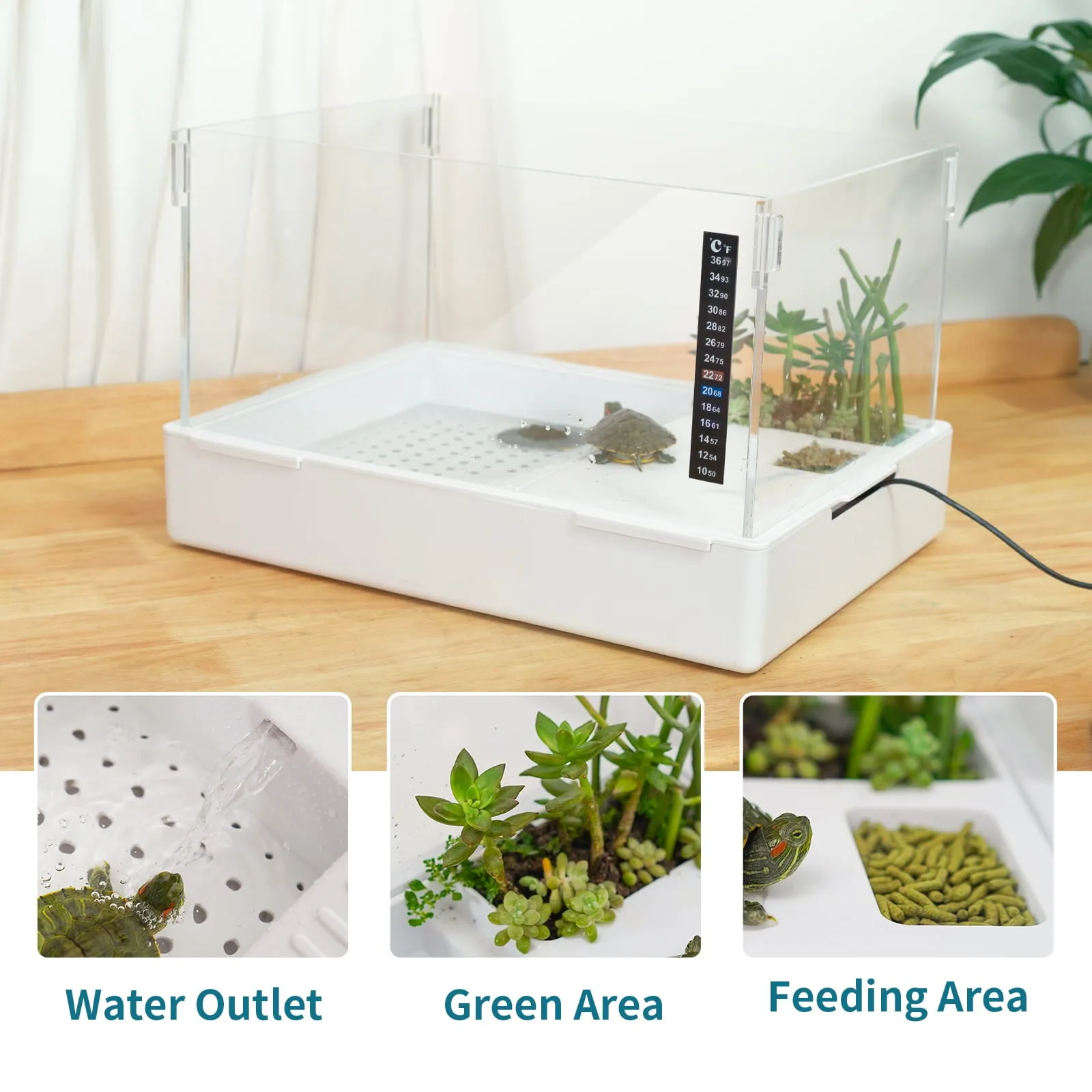 Turtle Tank with Adjustable Water Pump Filter,  Aquarium Habitat