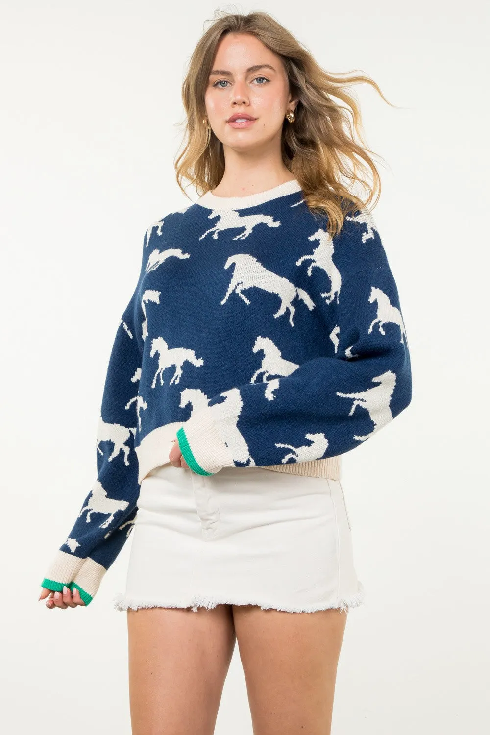 Wild Spirit Sweater
